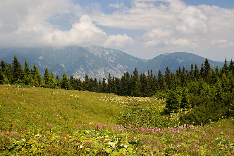 Raxalpe